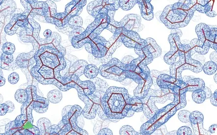 X-ray crystallography structure model of a Fab-antigen complex resolved at 1.50 Å