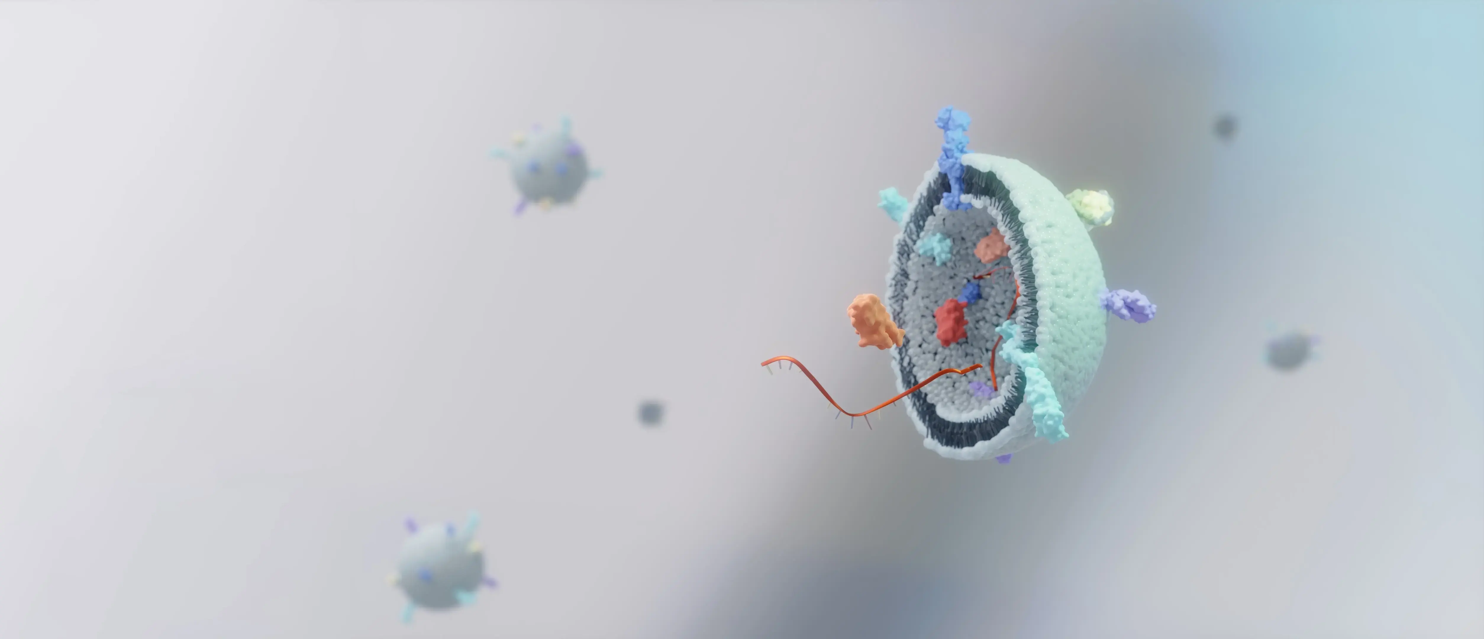 Cutaway illustration of an exosome showing its lipid membrane, surface proteins, and internal cargo