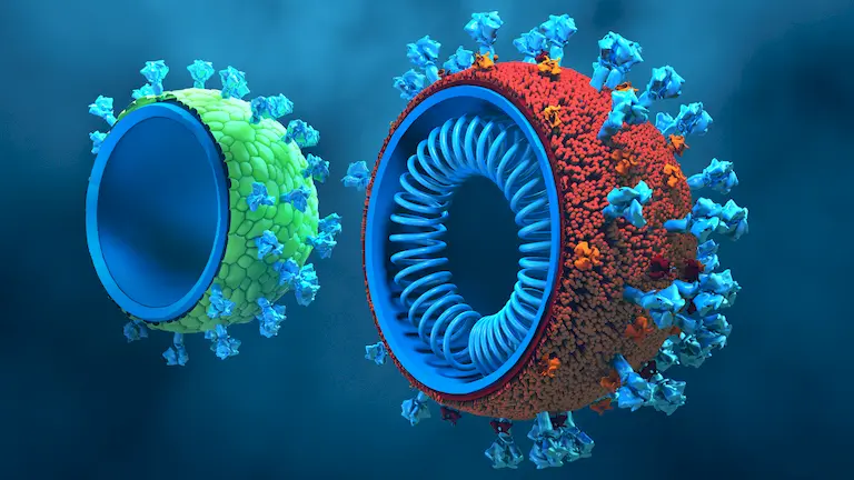 Virus-like particle products for vaccine delivery and structural biology applications