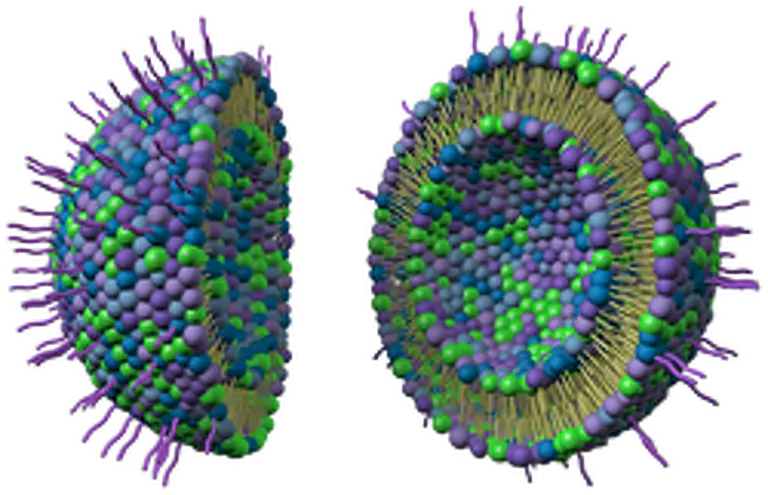 Liposome products and lipid nanoparticle materials for delivery and formulation development