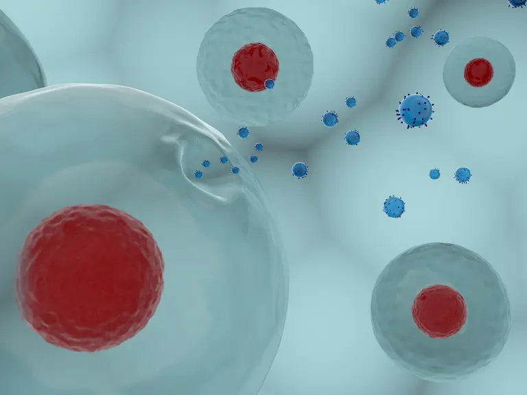 Exosome products for biomarker discovery delivery studies and EV platform development