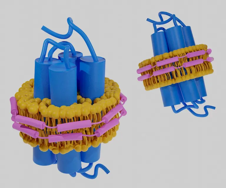 Membrane proteins and nanodiscs for membrane protein stabilization and assay development