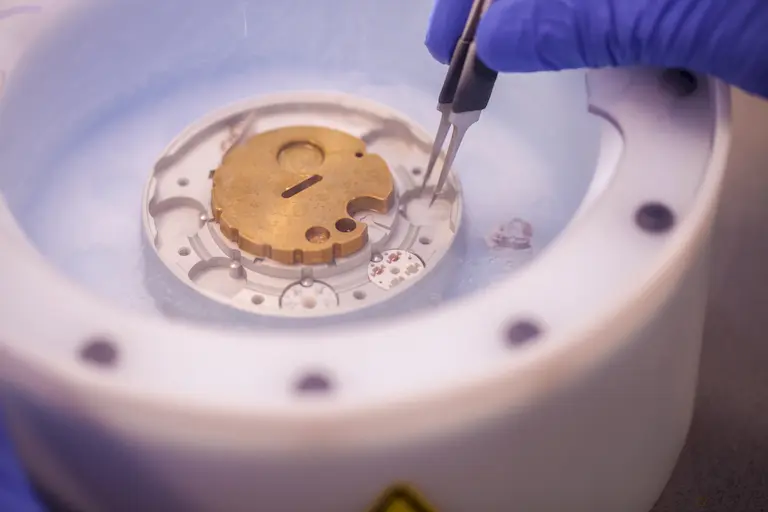 Cryo-EM grids for single particle analysis tomography and MicroED sample preparation