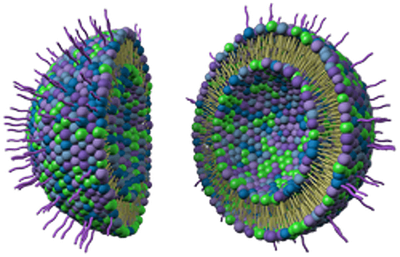 Liposomes