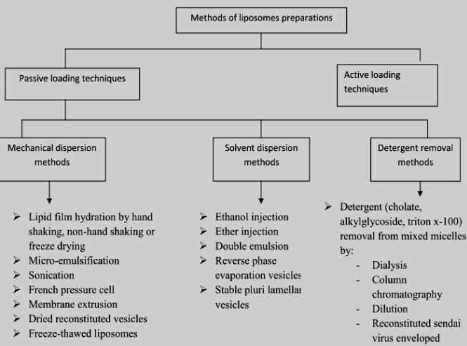 Figure 1. Different methods for liposome preparation. (International Journal of Pharmaceutical Studies and Research, 2012) 