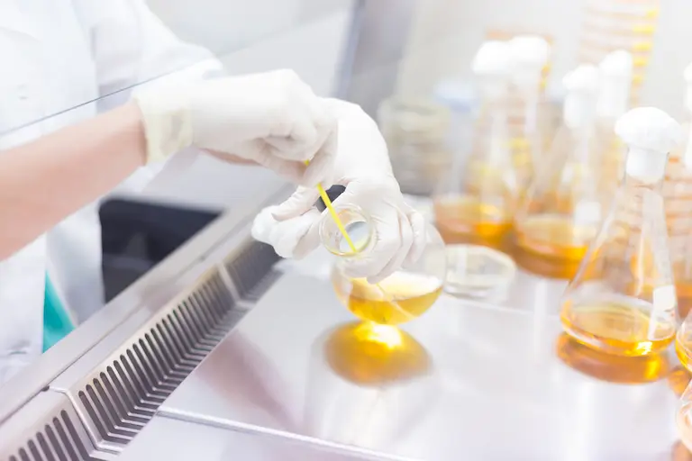Academic and translational research supported by structural biology CRO services