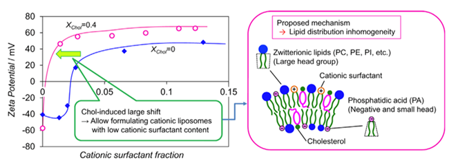 Figure 1. Schematic diagram of the membrane structure in liposomes (XChol > 0.4). The negatively-charged PA molecules are preferred to reside in the inner layer for its large CPP. (Colloids and Surfaces A: Physicochemical and Engineering Aspects, 2016) 