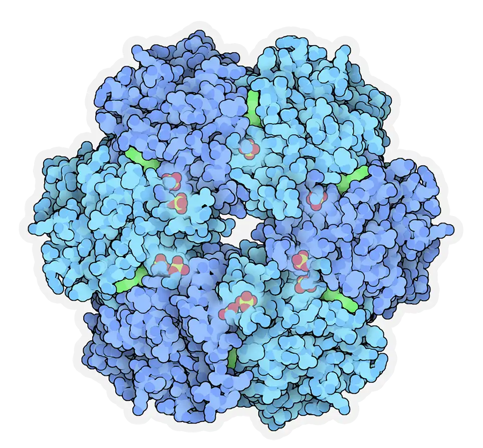 Welcome to Creative Biostructure