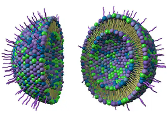 Liposome Products