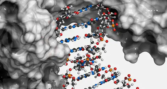 Structural Biology Services