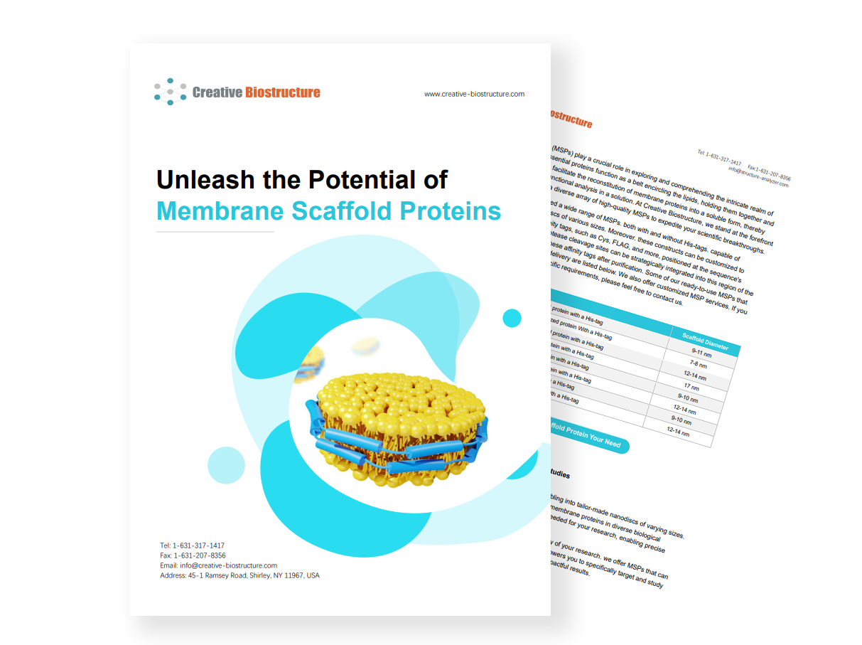 Membrane Scaffold Proteins