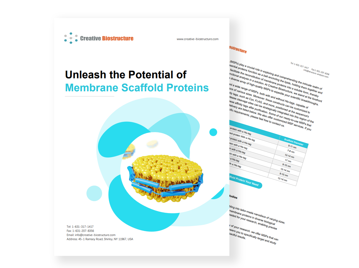 Unleash the Potential of Membrane Scaffold Proteins
