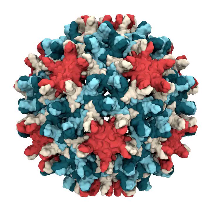 Hyperfine Hepatitis B Virus Capsid Atom Interaction Exposure