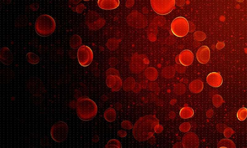 Fluorescent Probes Provide a Whole View of Drug Delivery in Cells