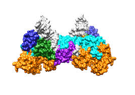 Science: Structurally Revealing the Mechanism of INSTI Drug Binding to HIV Intasomes