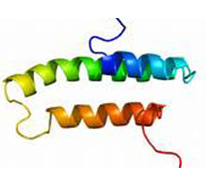 First Direct Sequence of SARS-CoV-2 RNA Achieved