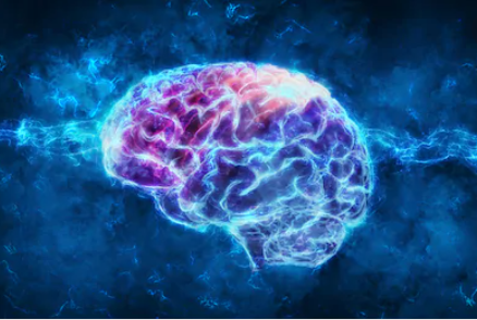 Brain Imaging Reveals the Mysteries of Aging