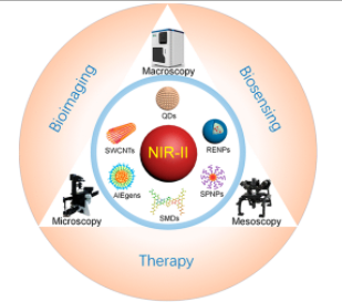 Near-infrared Zone II Fluorescence Imaging Technology and Its Prospects in Biomedical Applications