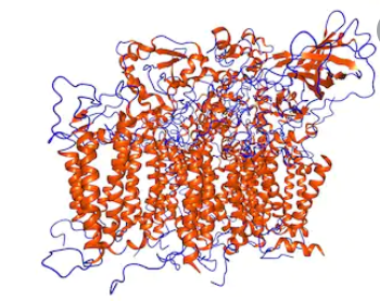 Study Revealed the Structural Basis of Assembly Factor Psb27 Regulating the Assembly and Repair of Photosystem II