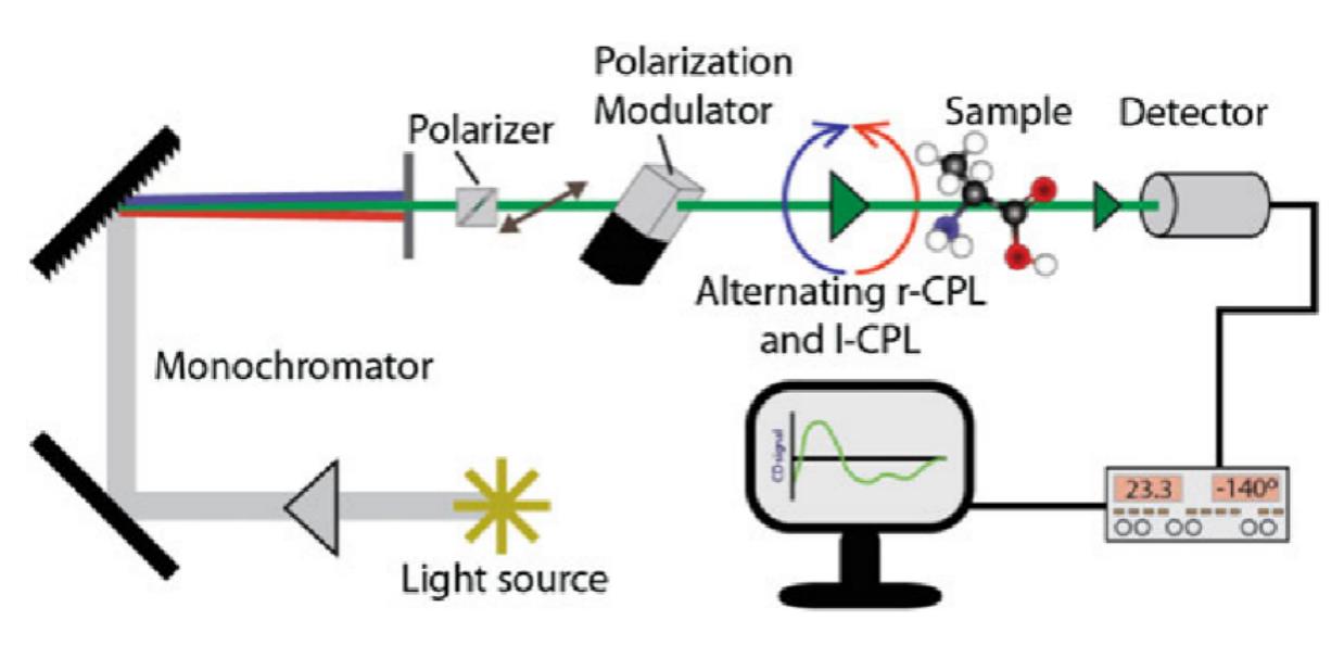 Schematic representation of the optical layout of a typical CD spectrometer.