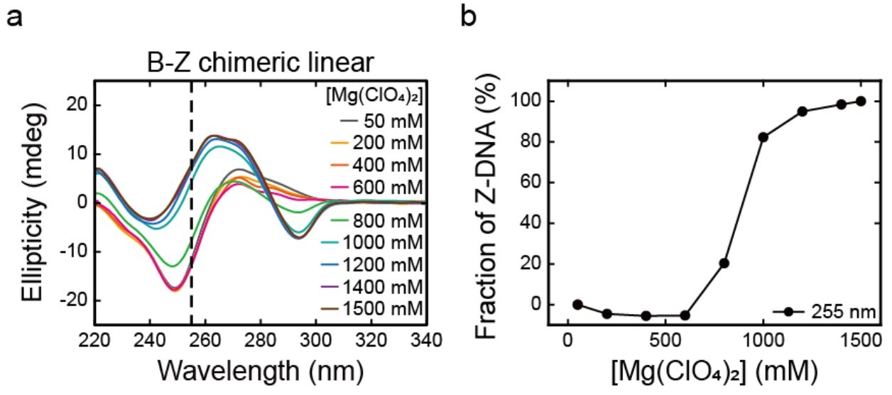 CD spectra and Z-DNA fraction reveal Mg(ClO₄)₂-induced B-Z transition in chimeric DNA.