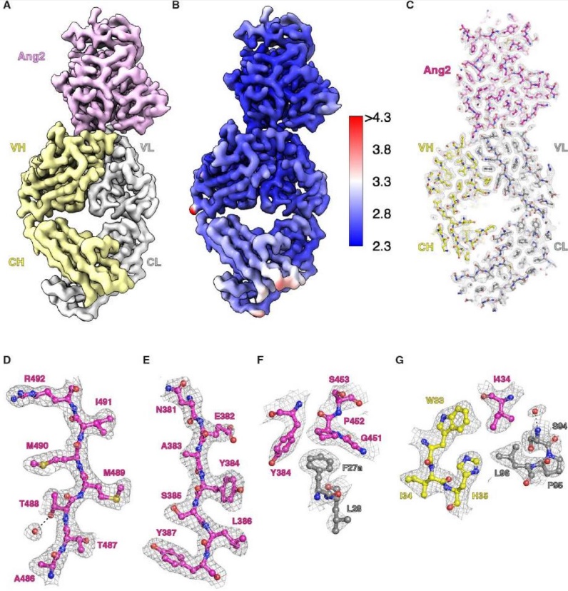 Cryo-EM Applications in Protein Structure Determination