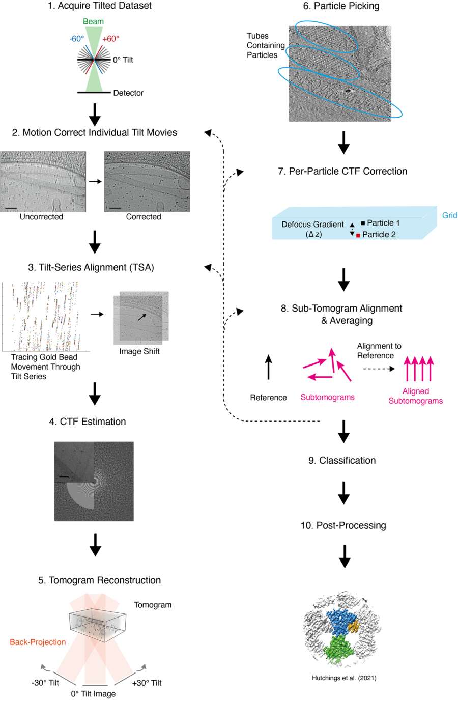 Cryo-ET Data Processing: Workflow, Advances, and Software Tools