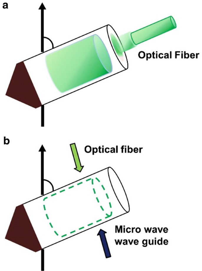 Schematic illustration of in situ photoirradiation apparatus for solid-state NMR spectrometer