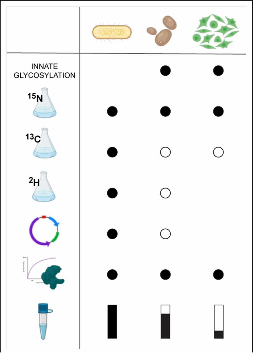 Advantages and limitations of the different systems used in the heterologous expression of glycoproteins