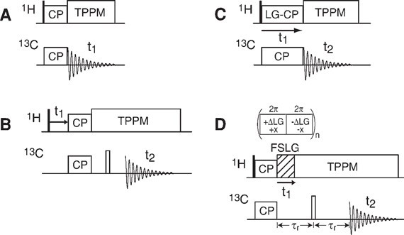 Pulse sequences for the CP MAS experiment (A), the WISE experiment (B), the LG-CP experiment (C), and the DIPSHIFT experiment (D)