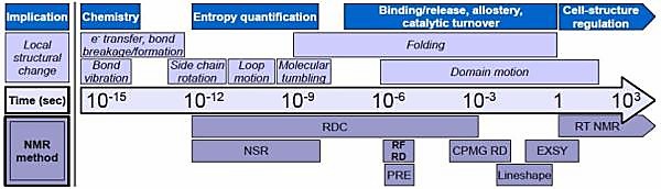 Protein conformational changes over a broad range of timescales enable their biological function