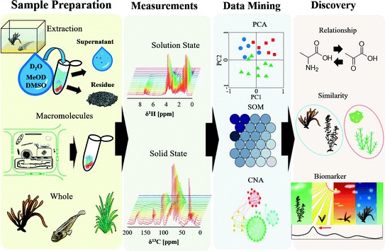 Scheme of NMR-based profiling approach for molecular complexity.