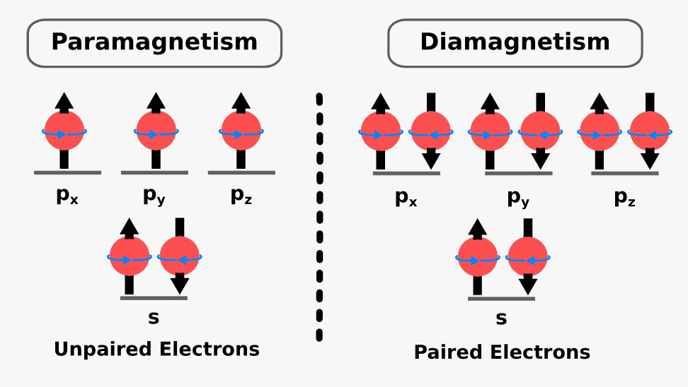 Paramagnetic vs. Diamagnetic Substances
