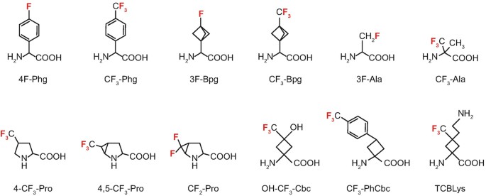 19F-containing amino acids used for solid-state 19<sup>F</sup>-NMR structure analysis of membrane-bound peptides