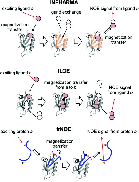 Basic principles of the operations of the ligand-based NMR experiments, INPHARMA, ILOE, and trNOE, for analyzing protein-ligand interactions.