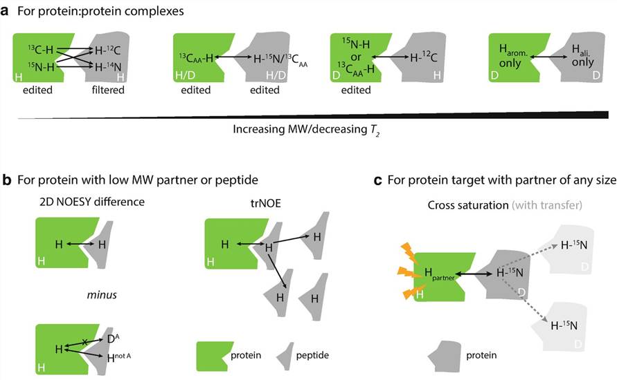 Isotope selecting and editing schemes for NOE /cross-saturation experiments