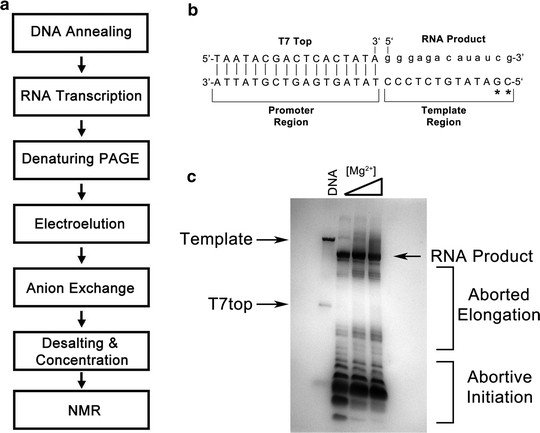 Characterization of Protein-RNA Interactions