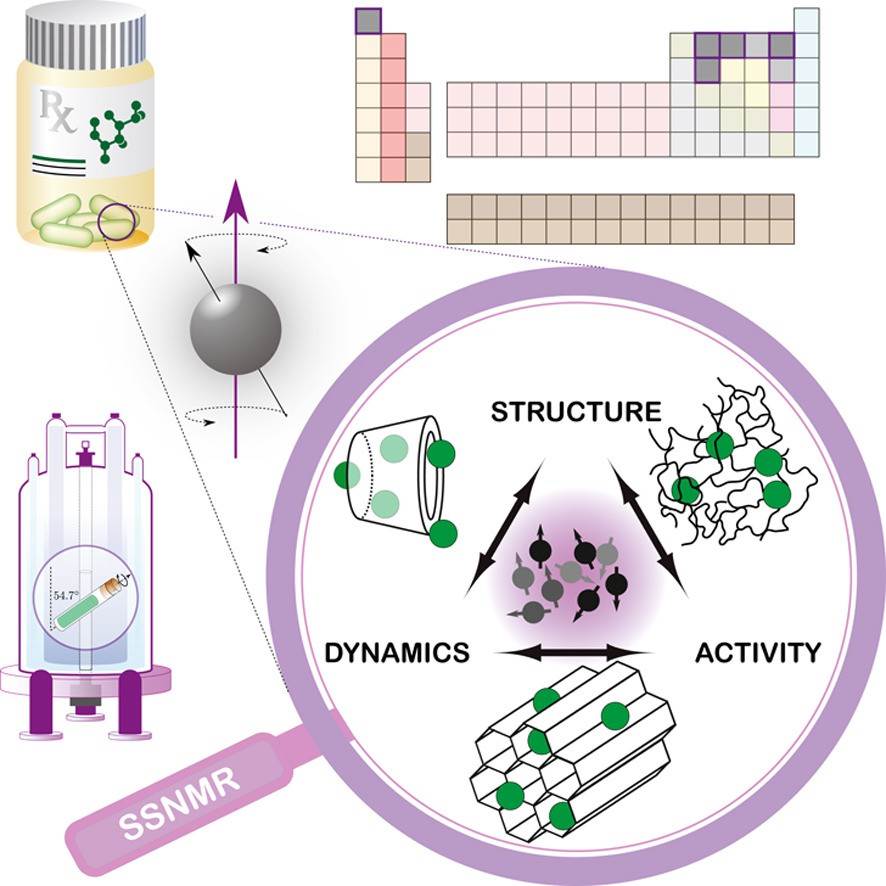 Solid-state NMR in the field of drug delivery