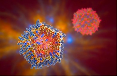 Analysis of Systems with Inorganic Excipients