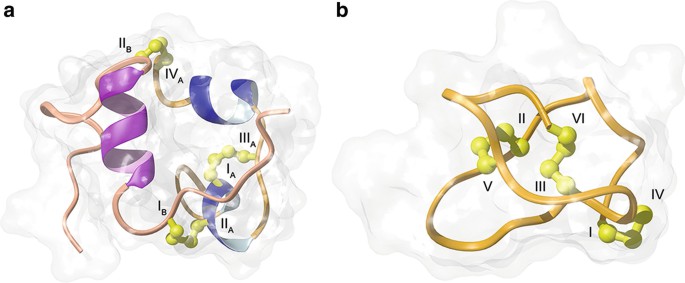 Three-dimensional structures of insulin (a) and ziconotide (b)