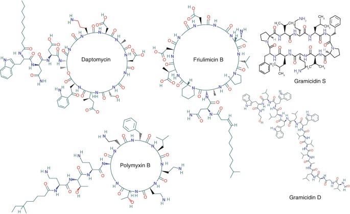 Structures of several nonribosomal bacterially produced antimicrobial cyclic and linear peptides as well as lipopeptides