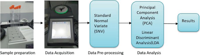 Workflow of qualitative NMR analysis of edible oil ingredients in food.