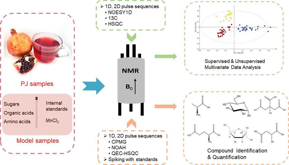 NMR-based juice analysis