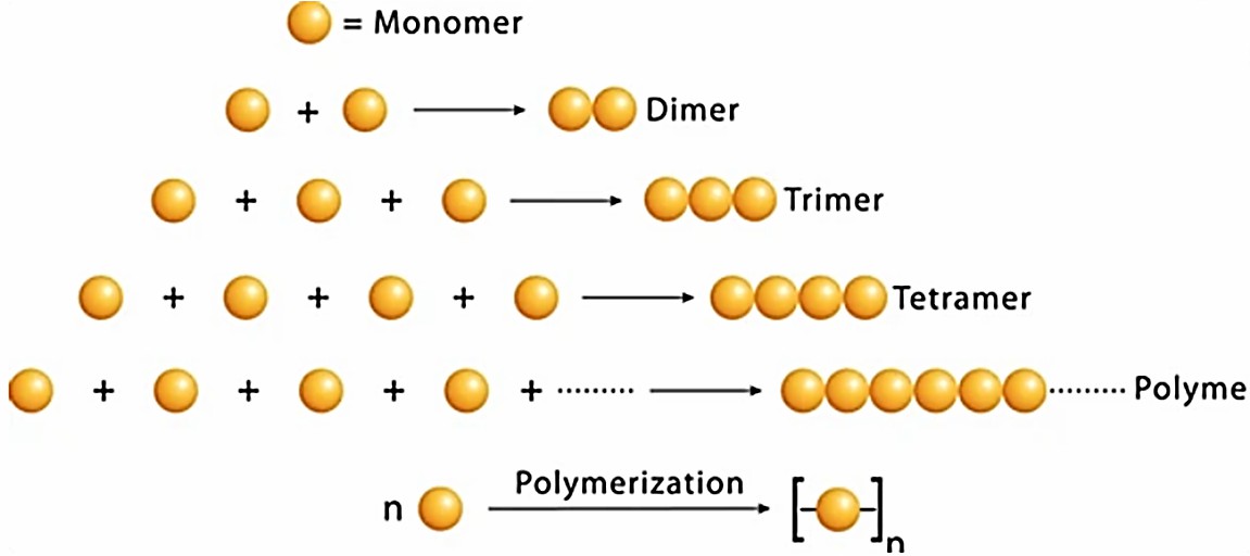 Diffusion Coefficients of Polymers