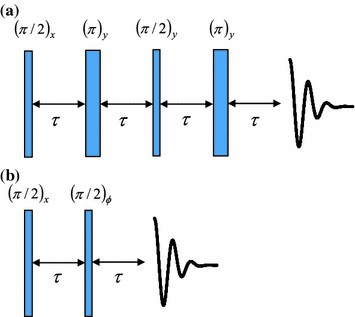 Pulse sequences of a <sup>2</sup>H NMR broad line spectrum for paramagnetic materials. a. Shift-compensated quadrupolar echo sequence, b. exorcycled quadrupolar echo sequence.