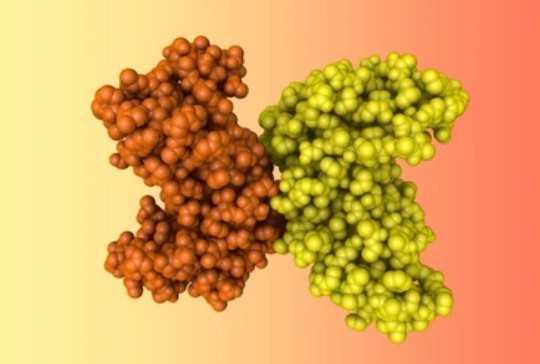 Analysis of Molecular Interactions by NMR