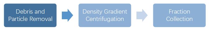 Figure 1. Flow chart for separation of exosomes by density gradient centrifugation.