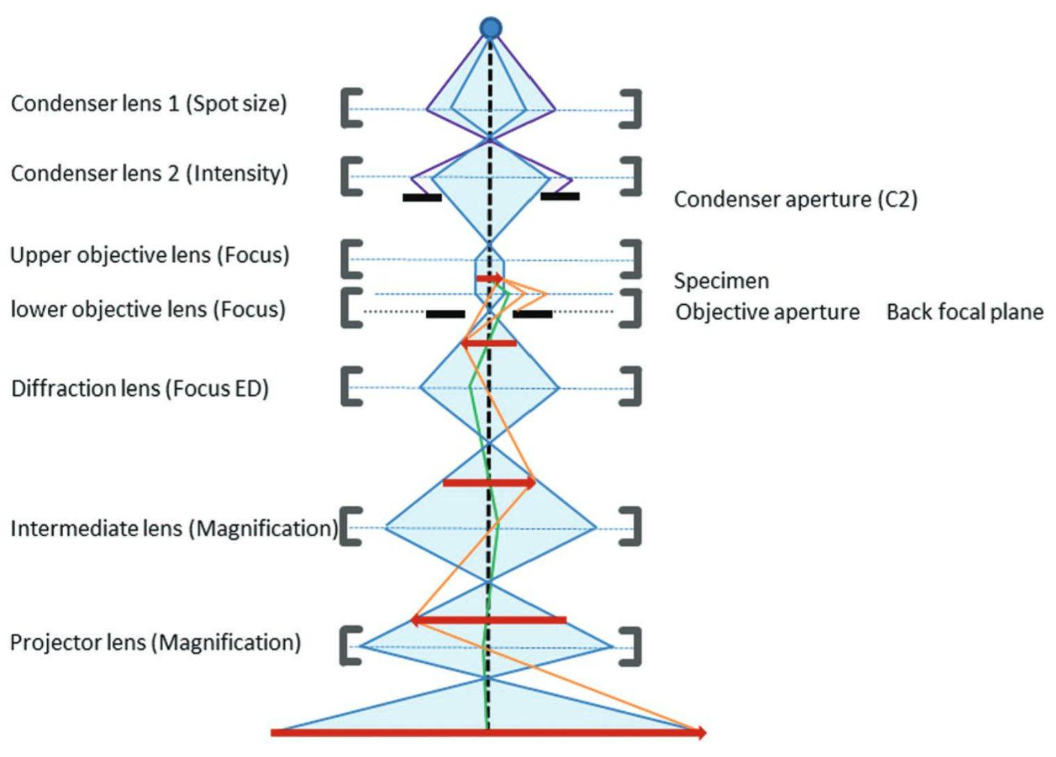 Figure 2. Components of the transmission electron microscope.