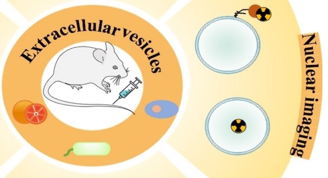 Figure 1. Schematic of exosome tracking by nuclear imaging.