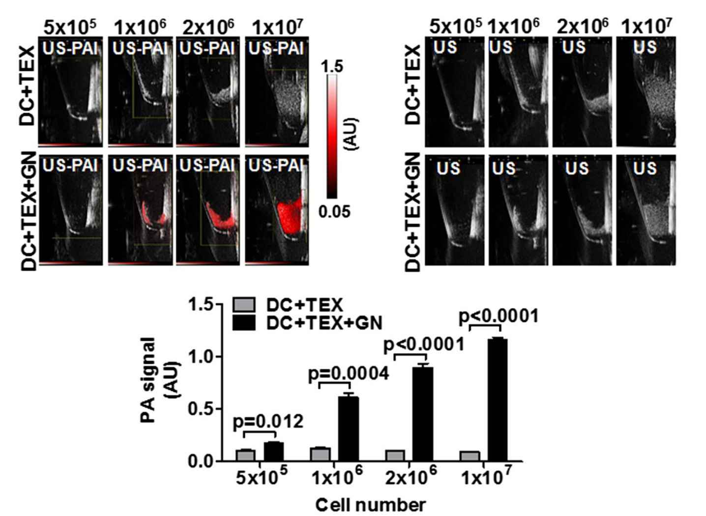 Figure 4. Photoacoustic imaging of Ce6-R-Exo.